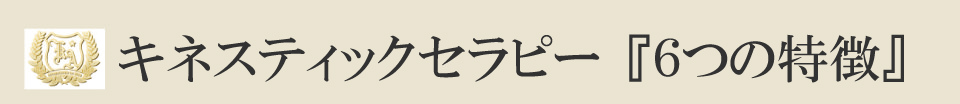 キネスティックセラピー『６つの特徴』