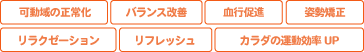 可動域の正常化、バランス改善、血行促進、姿勢矯正、リラクゼーション、リフレッシュ、カラダの運動効率アップ