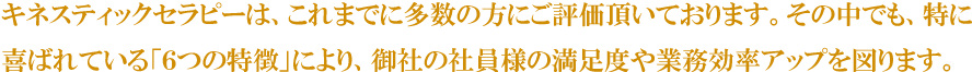 キネスティックセラピーは、これまでに多数の方にご評価頂いております。その中でも、特に喜ばれている「６つの特徴」により、御社の社員様の満足度や業務効率アップを図ります。